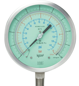 SS case test gauge (Acc. ±0.25%) (P801)