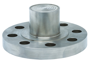 Flanged diaphragm seal, Extended neck (D204)
